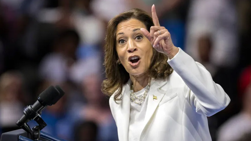  Kamala Harris’ Post-Election Video Sparks Debate Over Delivery and Emotional Tone