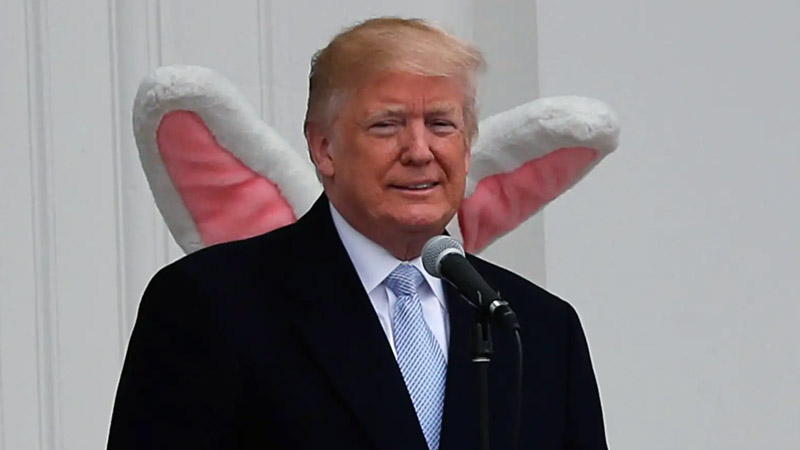  Trump’s Thanksgiving Video of Himself Popping Out of a Turkey Goes Viral, Sparking Laughter and Controversy