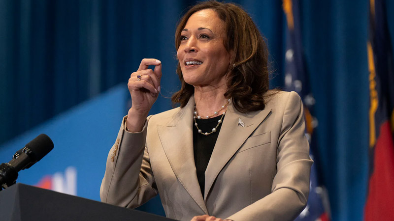  Kamala Harris Campaign Rejected by ‘Hot Ones,’ Sparking Outcry Among Supporters